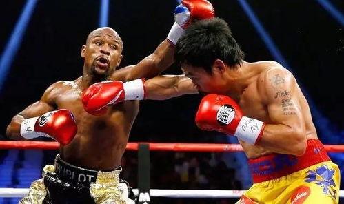 吃瓜娱乐拳击比赛视频大全,精彩拳击比赛视频大盘点